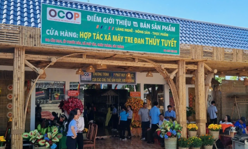 Hợp tác xã Mây Tre Đan Thủy Tuyết – Đưa sản phẩm làng nghề truyền thống bay xa